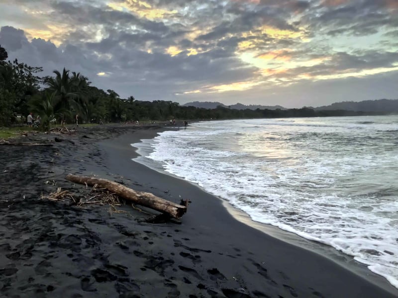 lugares para surfear en costa rica - playa negra