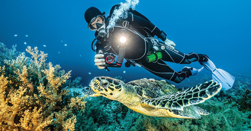 underwater photography Experiment with Different Perspectives