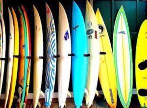 beginners-surfboard-shapes