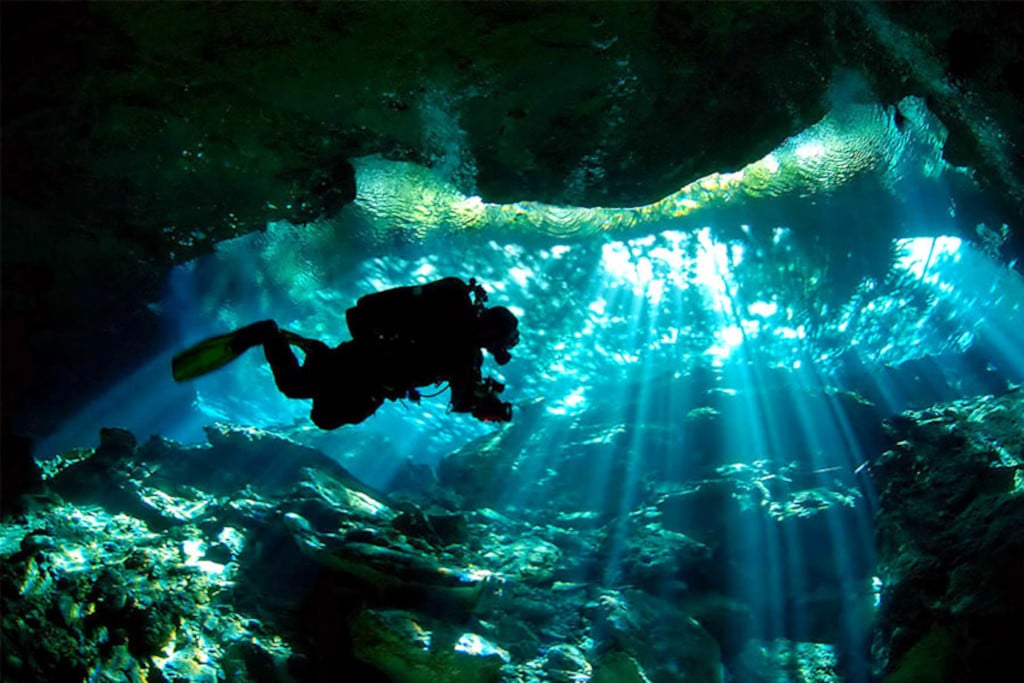 Cenote Ox Bel Ha- buceo en cenotes