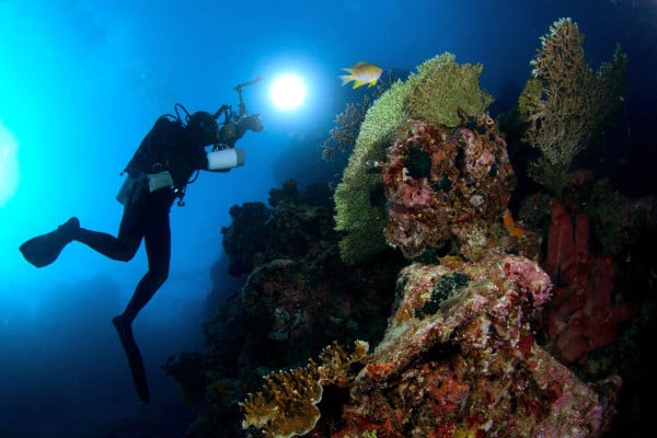 Linternas y antorchas de buceo 600x400