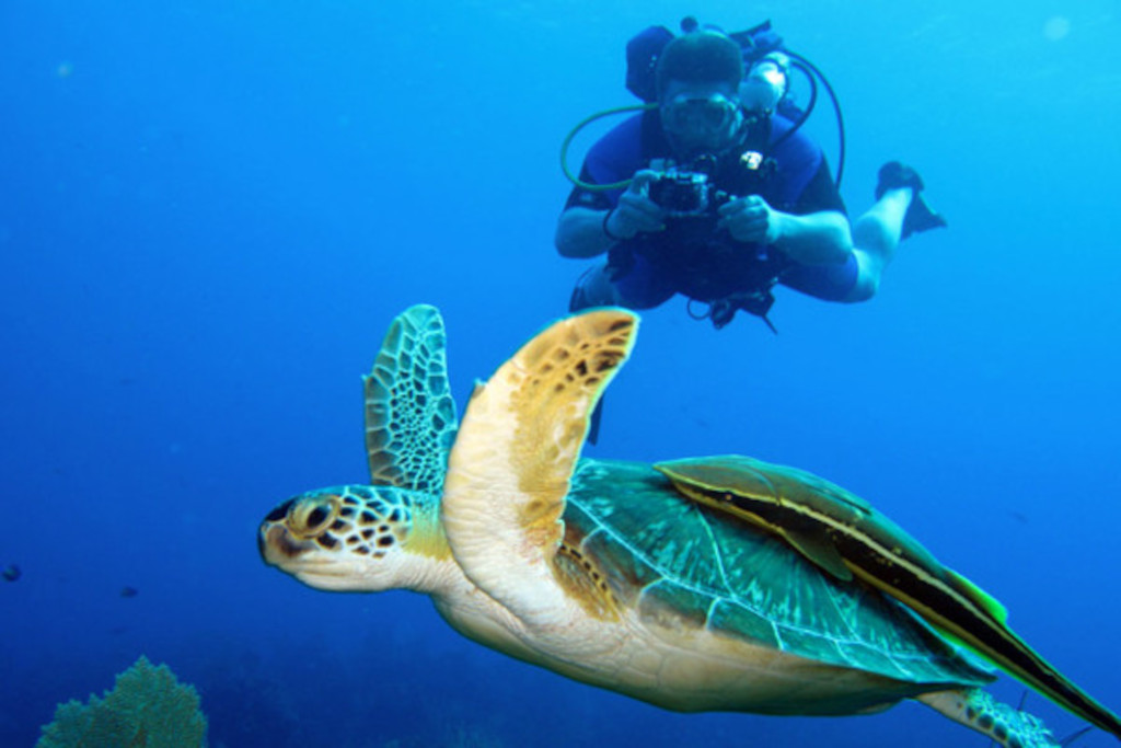 Scuba Diving in Guanacaste