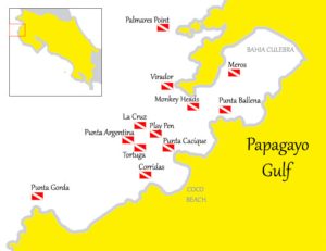 diving-spots-at-playa-del-Coco