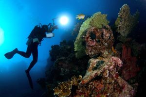 luces-para-buceo-imagen-principal