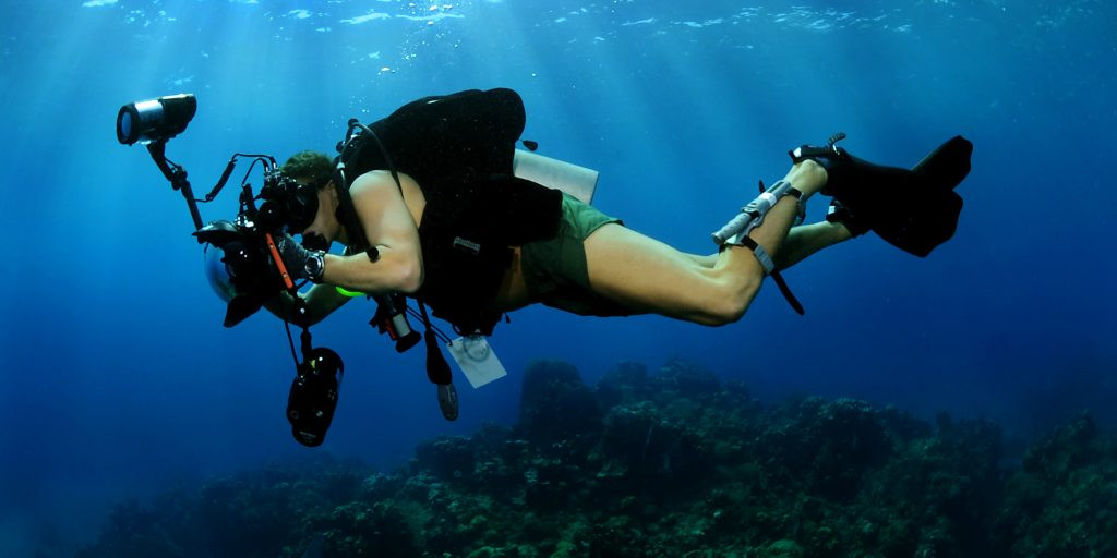 scuba diving jobs