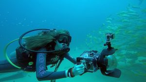 underwater-photography