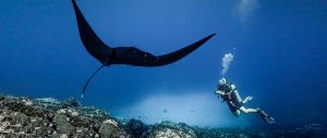 Buceo y Snorkeling en Costa Rica
