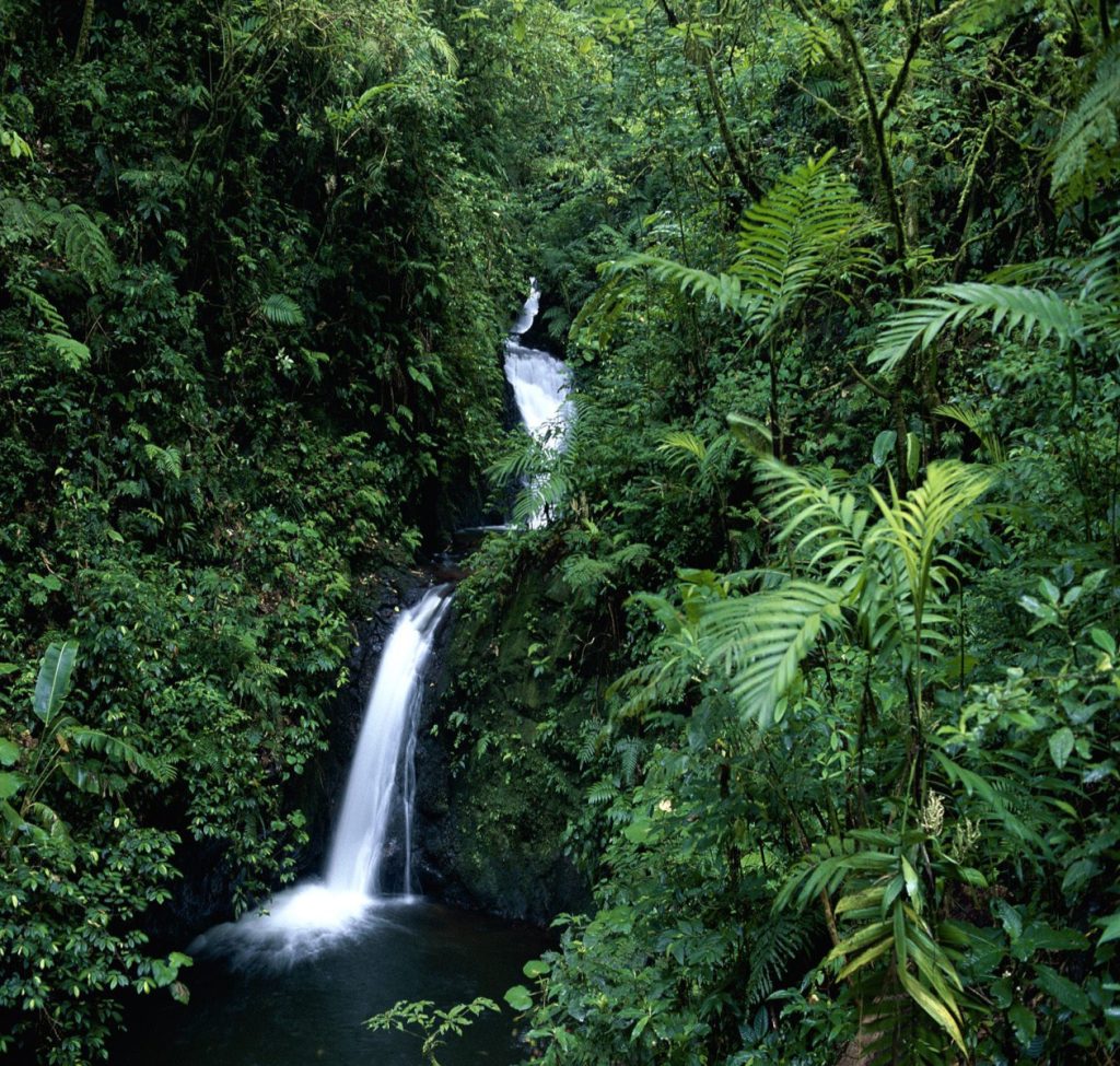 monte-verde-costa-rica-mejor epoca para viajar a costa rica