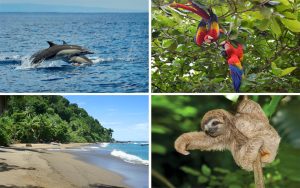 osa-peninsula-costa-rica