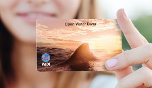 padi-replace-lost-cards