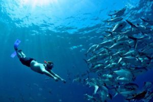 Snorkeling-in-Los-Morteros