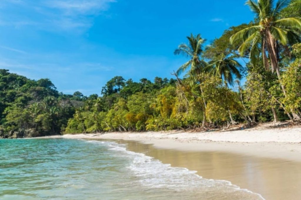 Snorkeling in Manuel Antonio