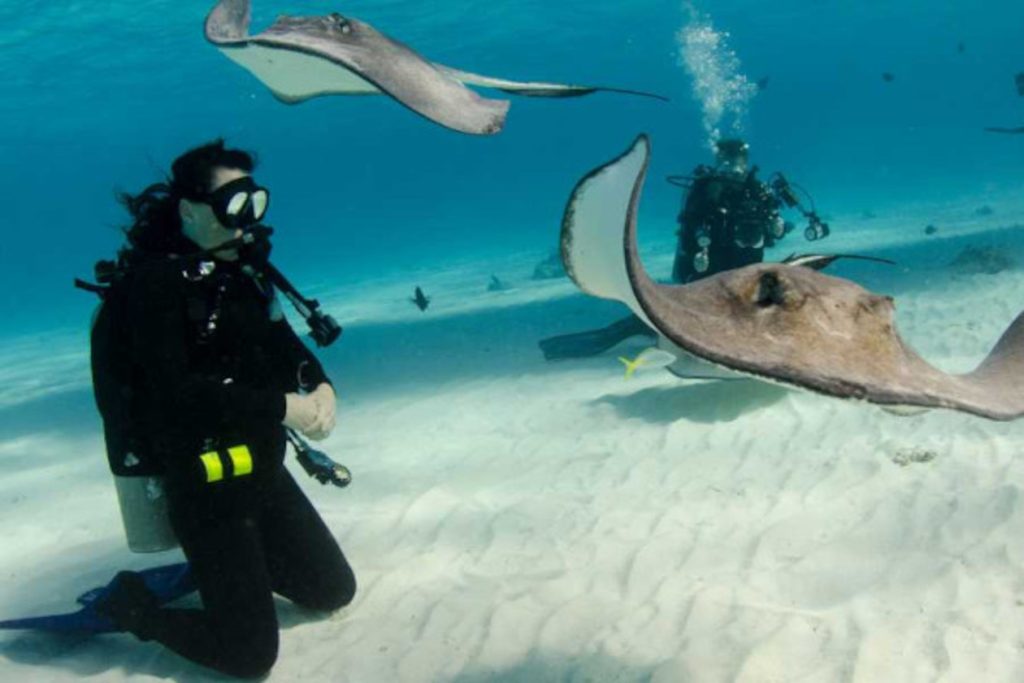 buceo en islas catalinas Costa Rica