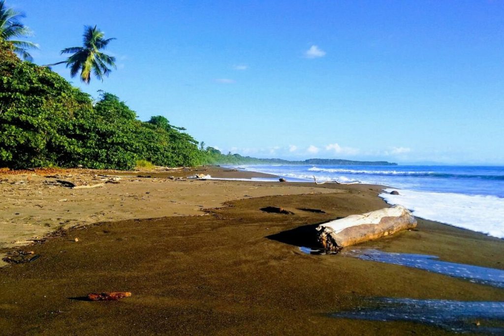 snorkeling in costa rica dominicalito beach