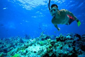 la-experiencia-del-snorkel-en-costa-rica