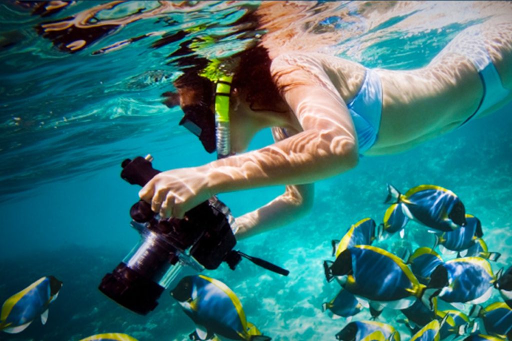 Snorkel en Costa Rica en Playa Ocotal