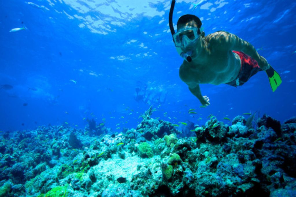 costa rica snorkeling best experience