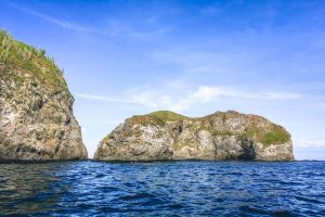 Snorkel en islas catalina