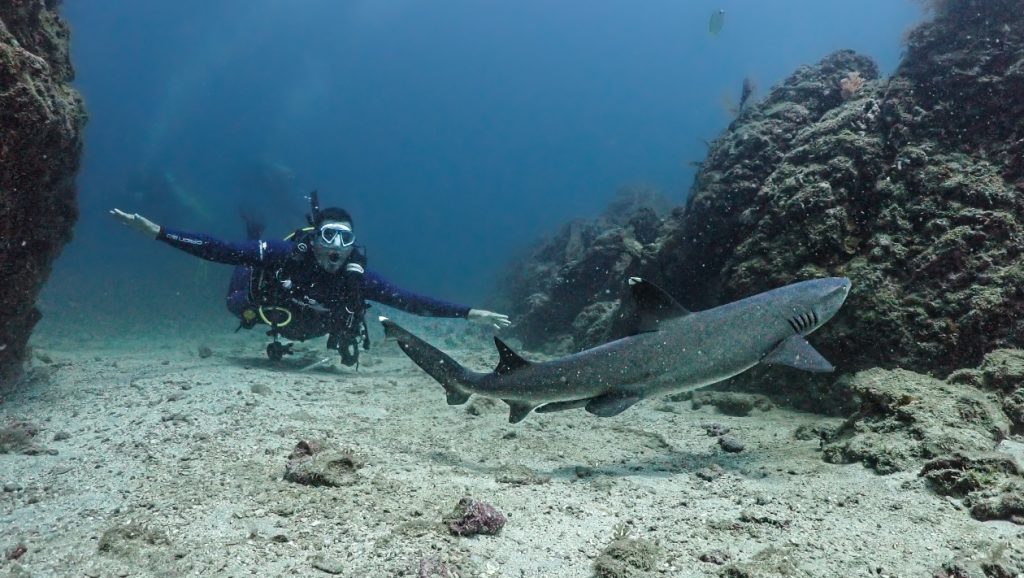 This enthusiastic diver discovers scuba diving in Costa Rica