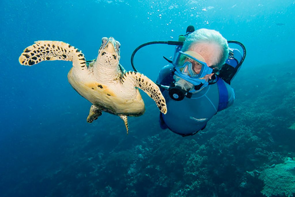 Jacques Cousteau with a turtle
