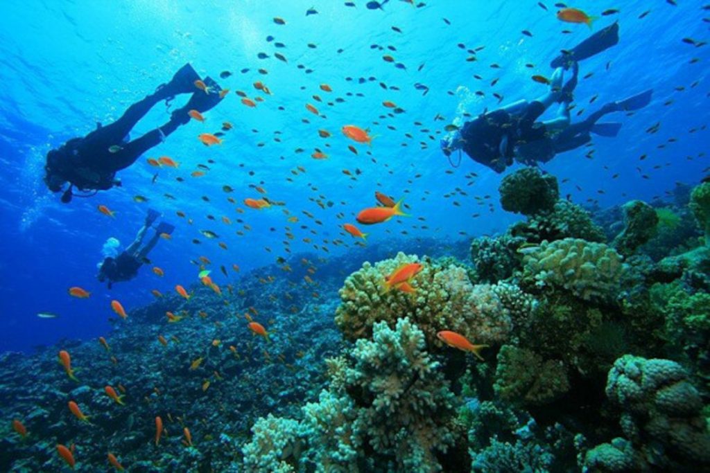 Buceo en Manuel Antonio Costa Rica