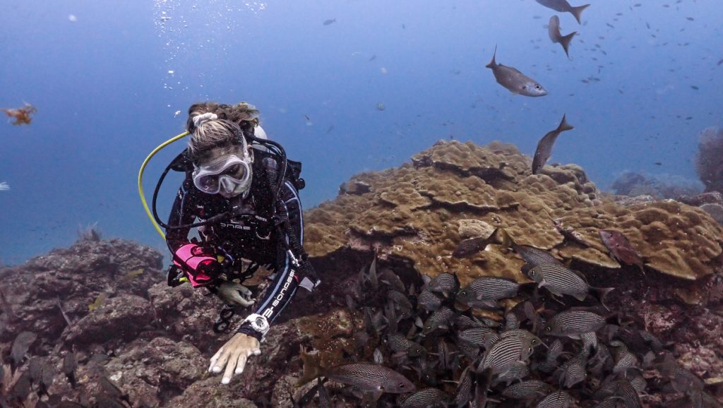 diving at cano island