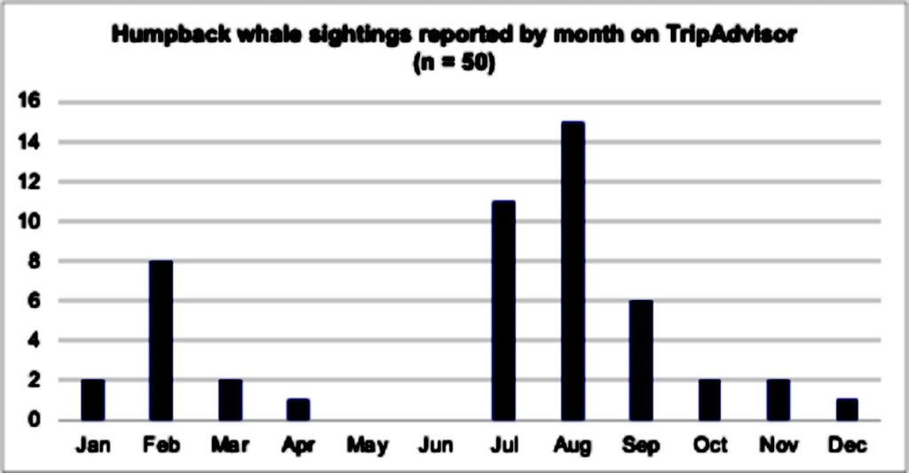 humpback whale sighting in Costa Rica chart