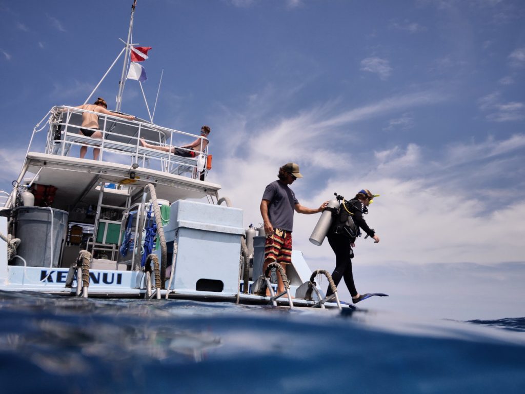 jacks-diving-locker-buceo en kona