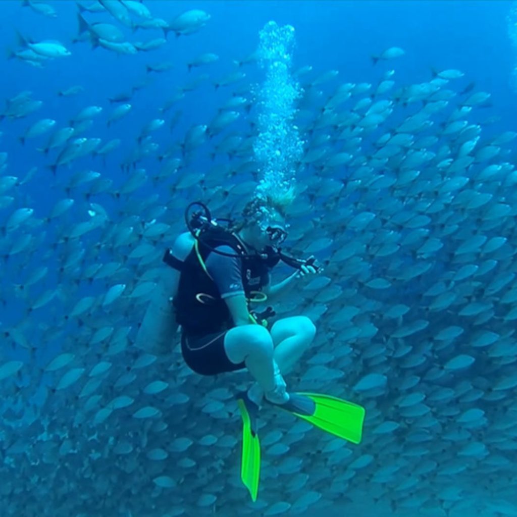 encuentro de buzo con infinidad de peces en la isla del caño