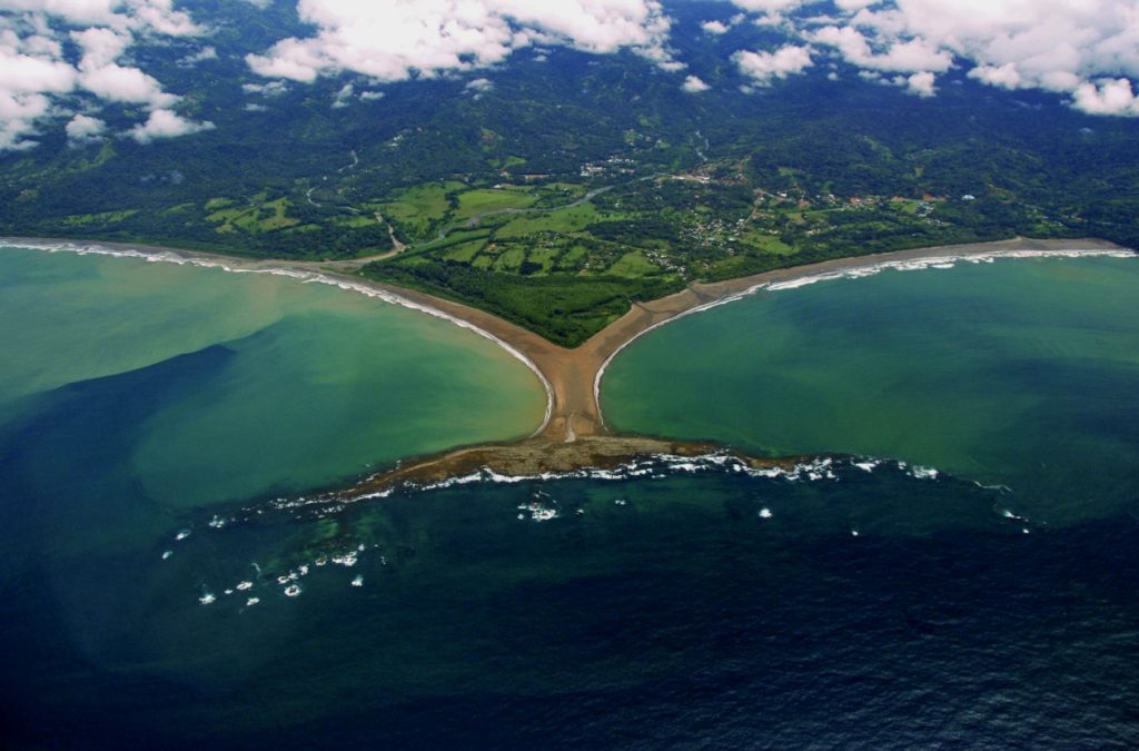 marino ballena whale tail