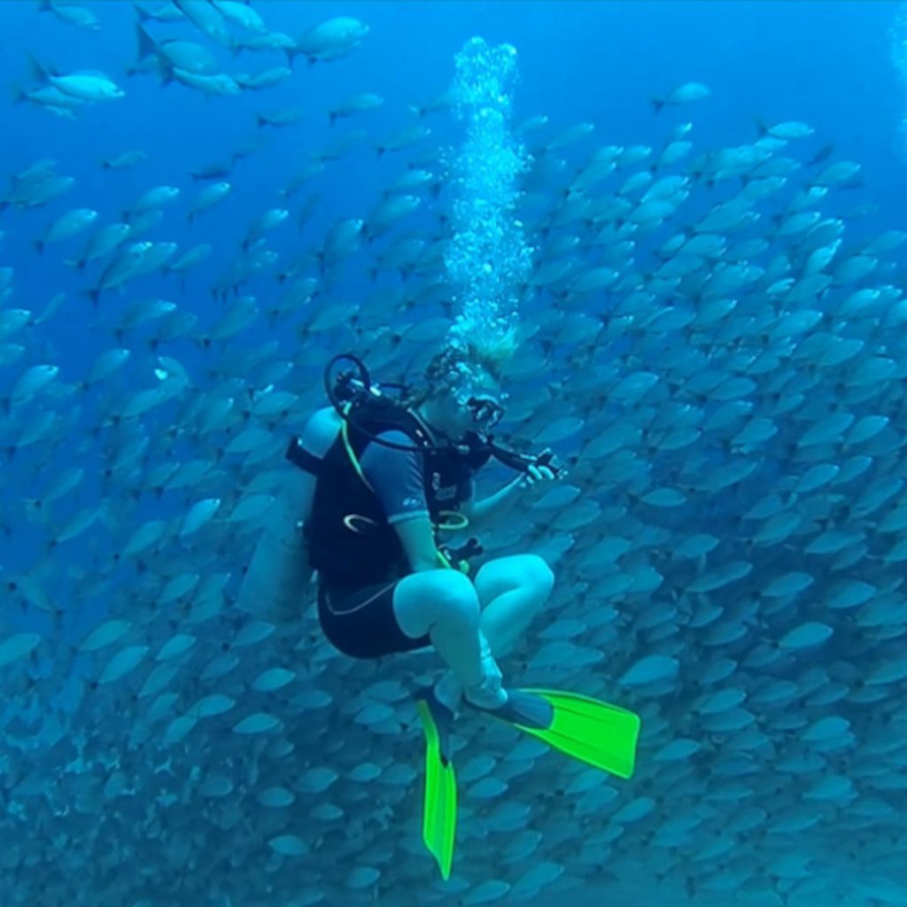 huge amount of fish and diver at caño island