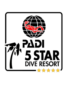 PADI 5 start resort