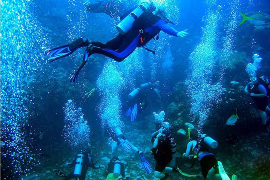 a group diving in manuel antonio