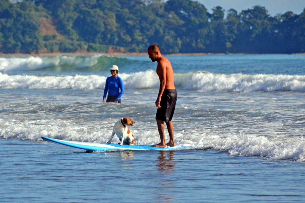 man and his dob riding a surfboard on the beach