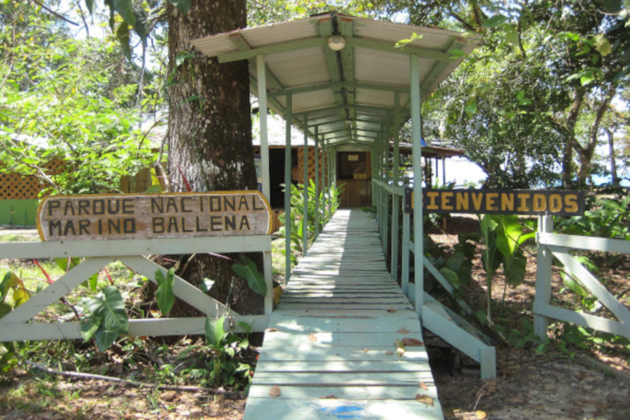 Oficina Parque Nacional Marino Ballena