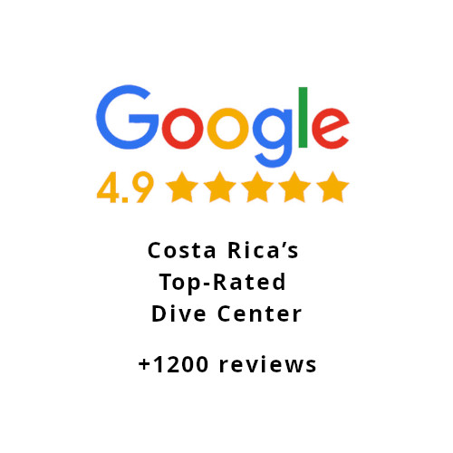 Googlereviews