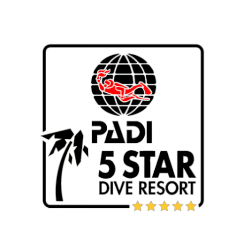 PADI5star PADI5stardiveresortlogo