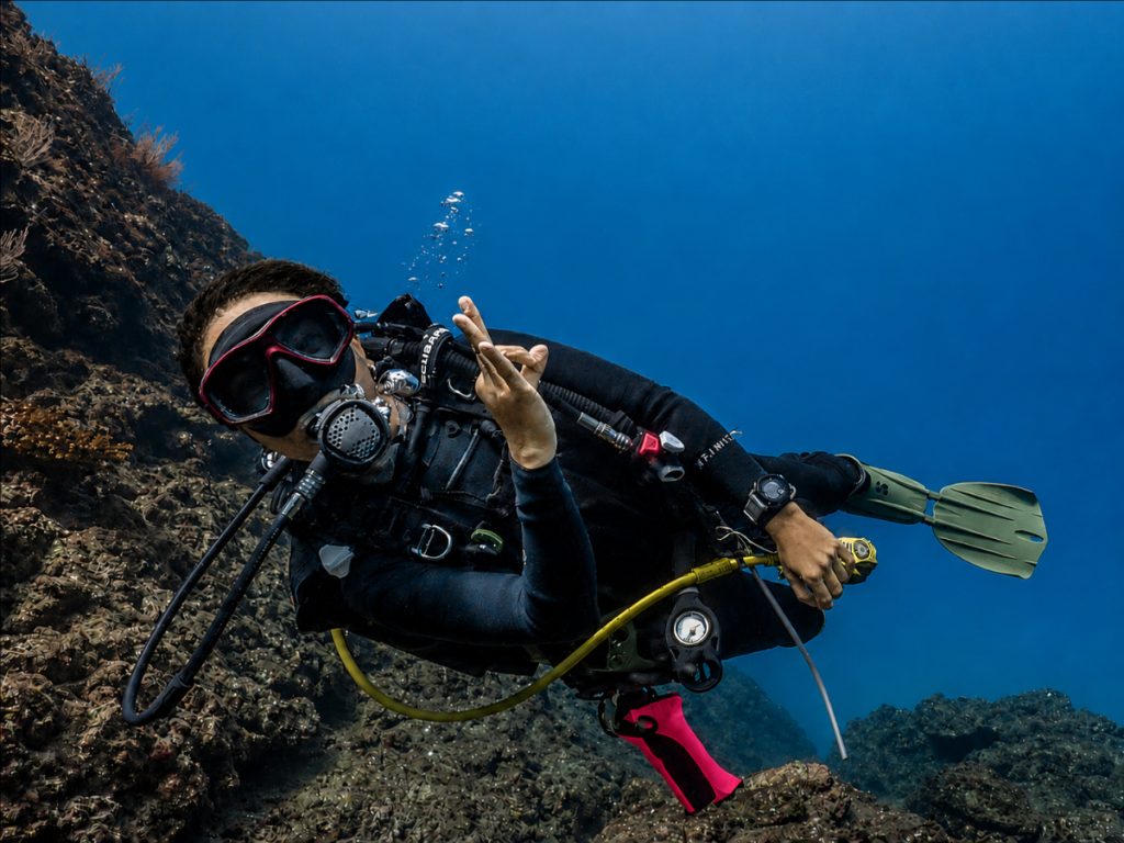 tarjetatourbuceo